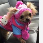 DANIELA MORALES Morales