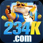 234k 234k