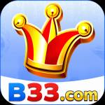 b33 b33